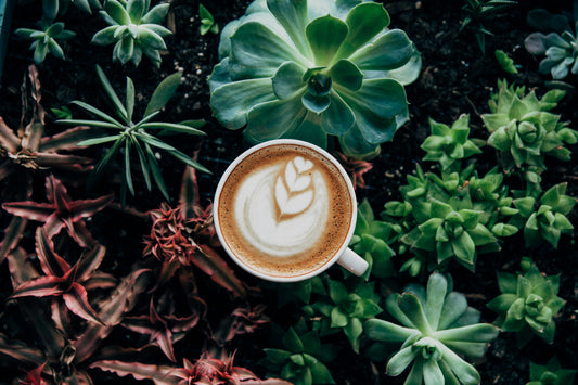 Earn Money While Drinking Coffee!