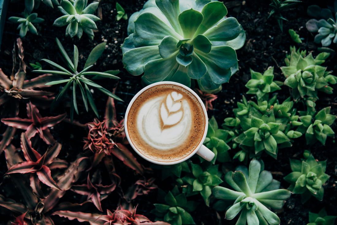 Earn Money While Drinking Coffee!